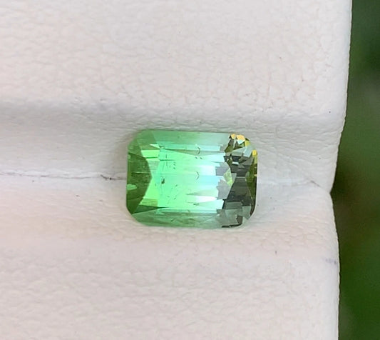 Tourmaline 1.35 Ct Cushion Cut Bi Colour Tourmaline Afghanistan - Gemstone