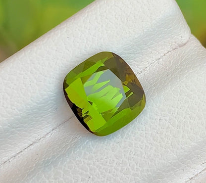 Tourmaline 3.10 Ct Cushion Cut Olive Green Tourmaline Afghanistan - Gemstone