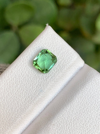 Tourmaline 1.10 Ct Cushion Cut Green Tourmaline From Afghanistan - Gemstone