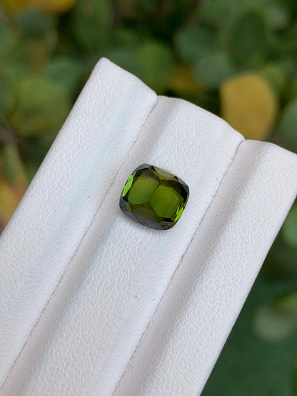 Tourmaline 3.10 Ct Cushion Cut Olive Green Tourmaline Afghanistan - Gemstone