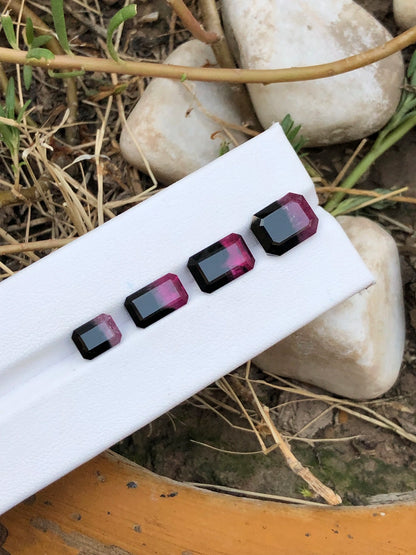 BiColour Tourmaline 13 Ct Perfect Cut Beautiful BiColour Tourmaline - Gemstone