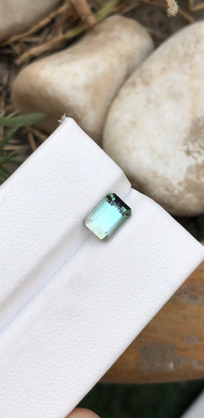 TOURMALINE 1.60 Ct Precision Emerald Cut From Afghanistan - Gemstone