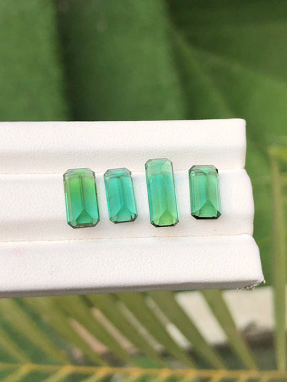 Tourmaline Set 11.10 Ct Perfect Faceted Cut Greenish Tourmaline Lot - Gemstone