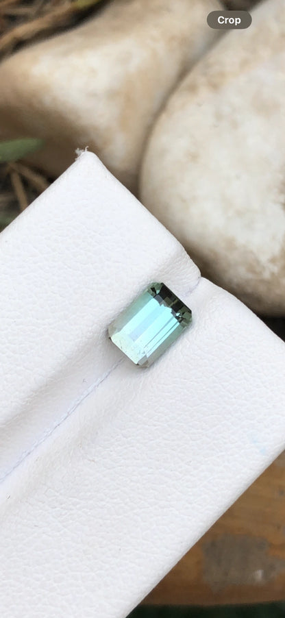 TOURMALINE 1.60 Ct Precision Emerald Cut From Afghanistan - Gemstone