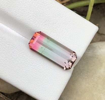 Tri Colour Tourmaline 7.40 Ct Perfect Cut Beautiful Tourmaline AFG - Gemstone
