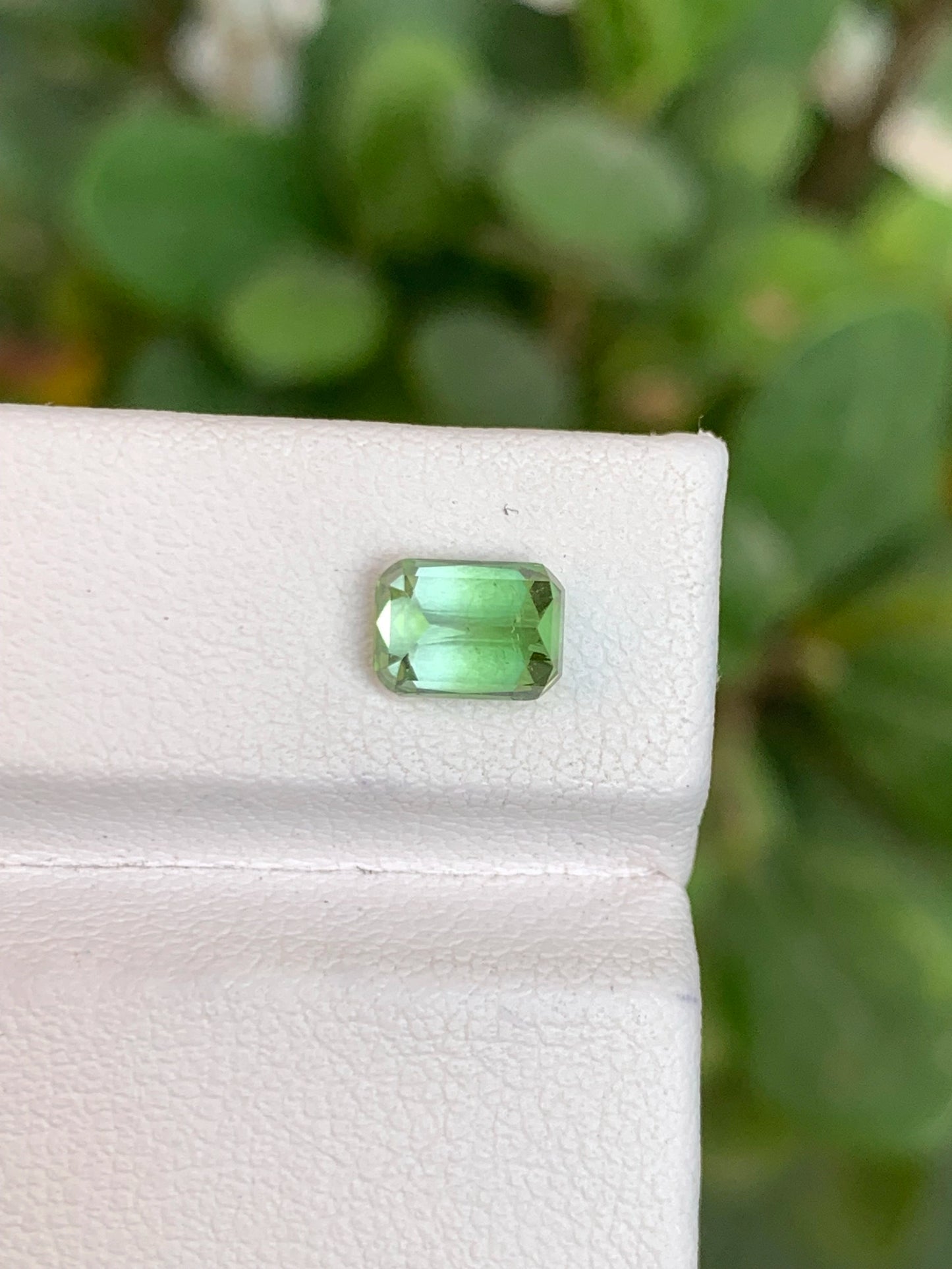 Tourmaline 1.35 Ct Cushion Cut Bi Colour Tourmaline Afghanistan - Gemstone