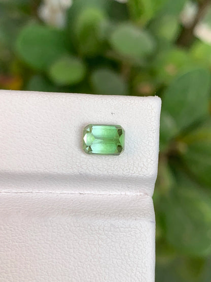 Tourmaline 1.35 Ct Cushion Cut Bi Colour Tourmaline Afghanistan - Gemstone