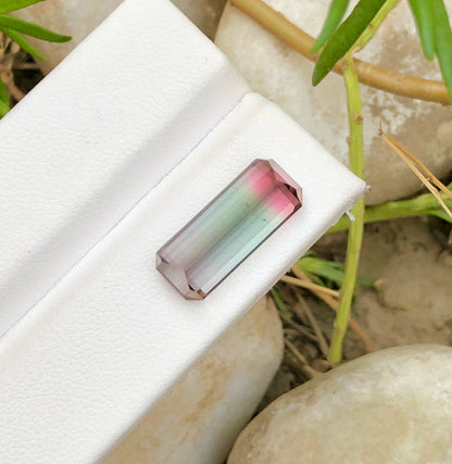 Tri Colour Tourmaline 7.40 Ct Perfect Cut Beautiful Tourmaline AFG - Gemstone