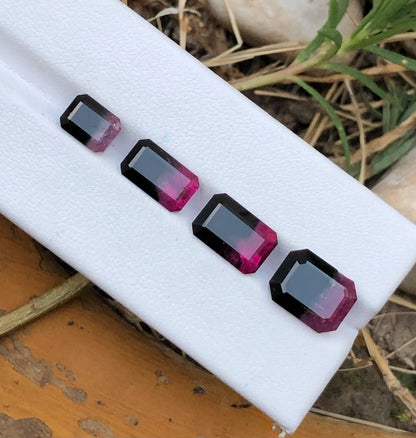 BiColour Tourmaline 13 Ct Perfect Cut Beautiful BiColour Tourmaline - Gemstone
