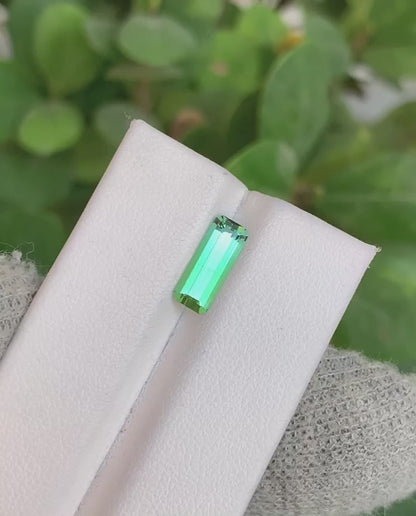 Tourmaline 2.10 Ct Emerald Cut Beautiful Green Tourmaline From AFG - Gemstone