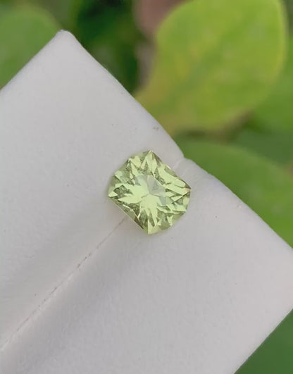 Yellow Heliodor 1.20 Ct Precision Cut Yellow Heliodor