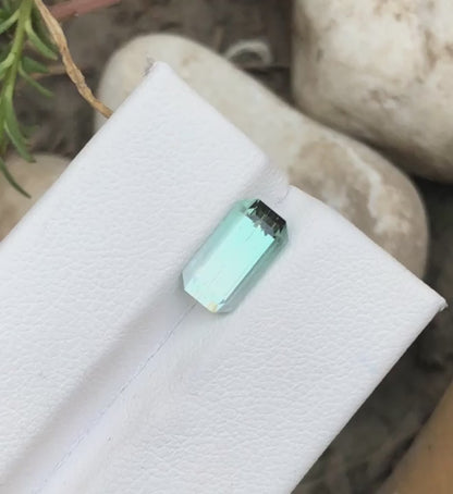 TOURMALINE 2.60 Ct Precision Cut Tourmaline From Afghanistan - Gemstone