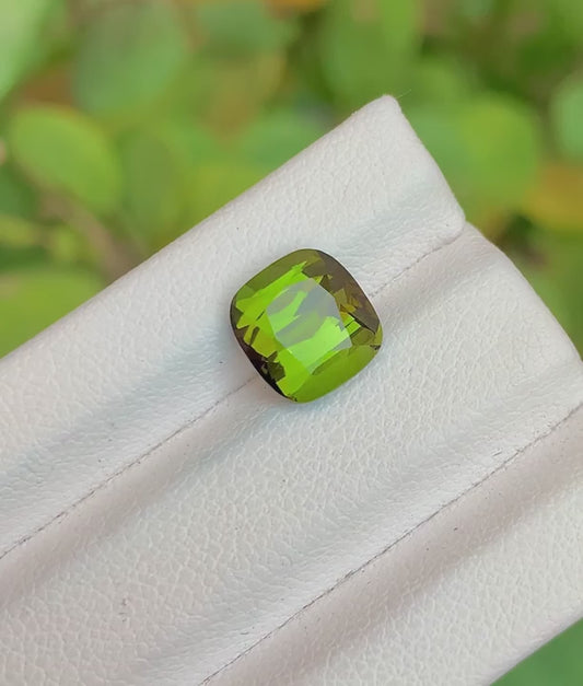 Tourmaline 3.10 Ct Cushion Cut Olive Green Tourmaline Afghanistan - Gemstone