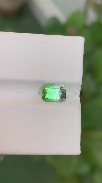 Tourmaline 1.35 Ct Cushion Cut Bi Colour Tourmaline Afghanistan - Gemstone