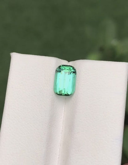 Tourmaline 1.90 Ct Perfect Cut Mesmerising Top Tourmaline From AFG - Gemstone