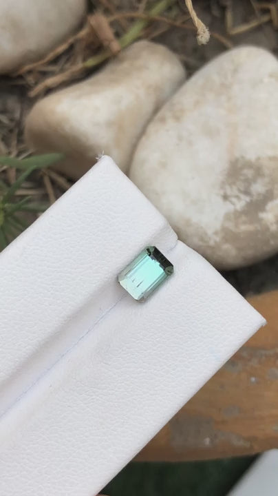 TOURMALINE 1.60 Ct Precision Emerald Cut From Afghanistan - Gemstone